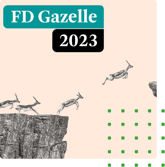 Quote Highlight 1118x1132 - Links - FD Gazelle
